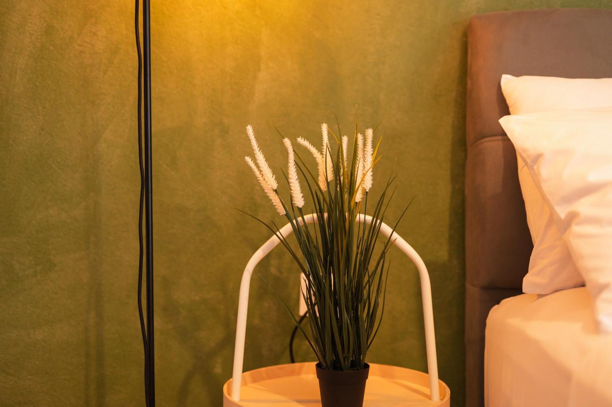 Ancient Forest Suite By Heeaven'S Hall Luxury Suites Alexandroúpoli Eksteriør bilde